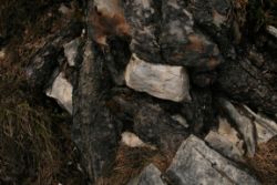 2011-04-24_Regina-F-Rau_Brunnstein-Spitze (067).JPG